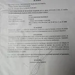 Apartament Mery *